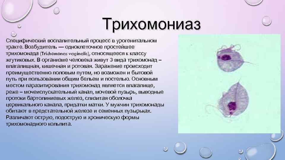 Женский Возбудитель Эро Видео