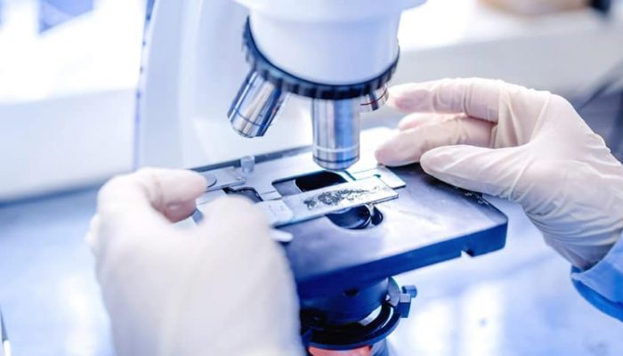 Зачем нужен и как берут анализ на ВПЧ: виды тестов, генотипирование и результаты