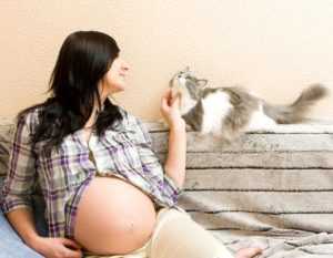 Почему во время беременности может возникнуть токсоплазмоз?