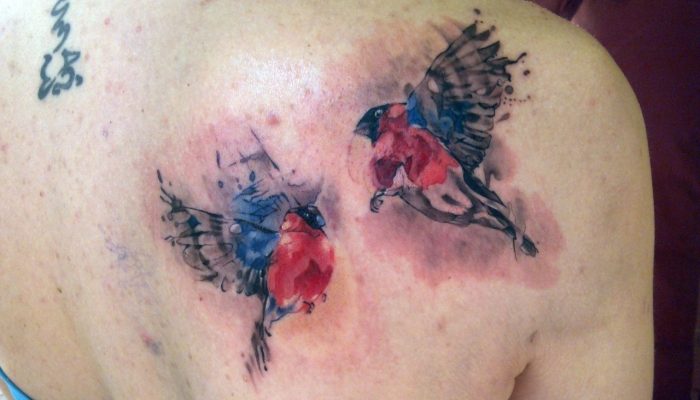 Покраснение и сыпь, прыщи вокруг татуировки