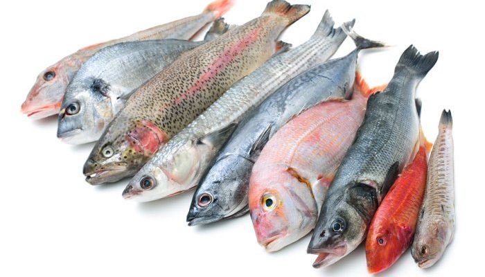 Симптомы аллергии на рыбу, а также на какую чаще всего бывает реакция у взрослых и детей?