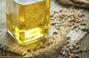 Чем полезно масло зародышей пшеницы?