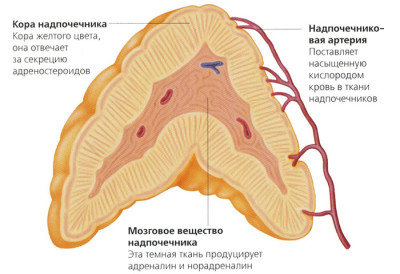 Показания