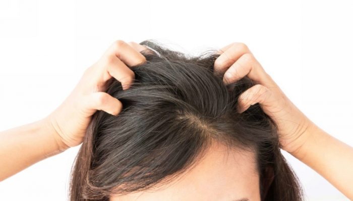 Что делать, если ломаются волосы? Лечение проблемы в зависимости от причины