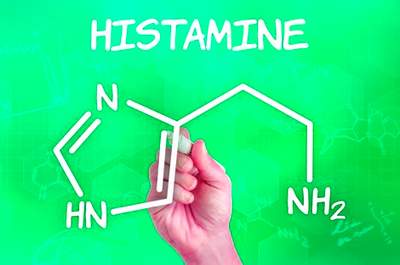 Что это такое гистамин и гистаминовые рецепторы