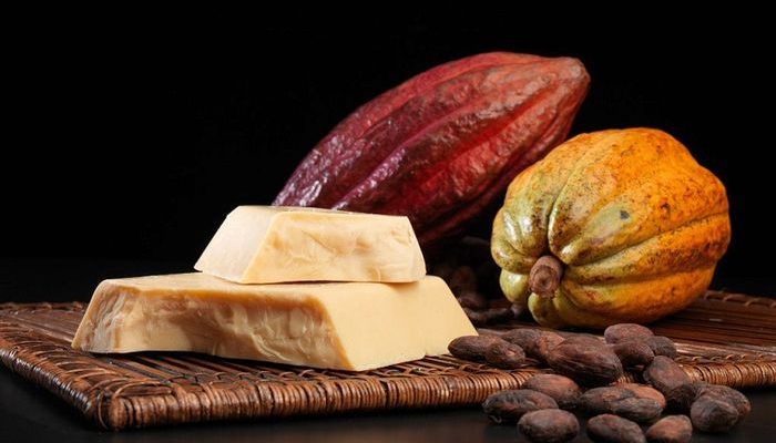 Как применять масло какао для лица? Самые полезные рецепты