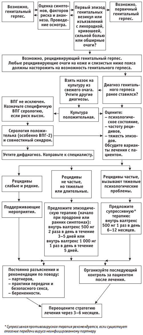 Лечение генитатальной герпеса у мужчин схема