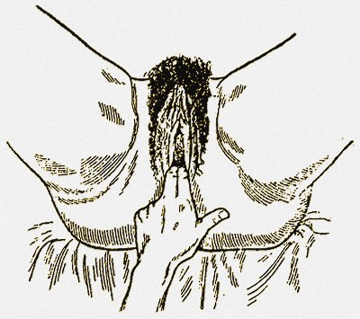 Фото раздвигания пальцами одной руки губ вульвы
