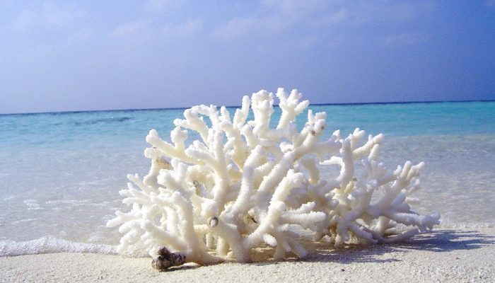 Уход за кожей после кораллового пилинга